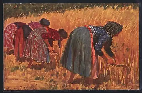 Künstler-AK sign. V. Maly: Zne v Mlazí, Bauernfrauen bei der Weizenernte