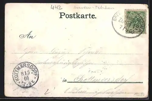 Lithographie Rathen, Uferpartie mit Hotel, Tannenzweig