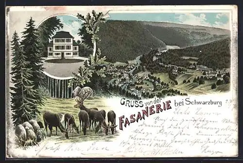Lithographie Schwarzburg, Gesamtansicht aus der Vogelschau, Fasanerie, Hirsche