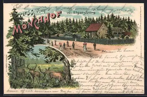 Lithographie Elgersburg, Mönchhof, Ortspartie mit Hirschen