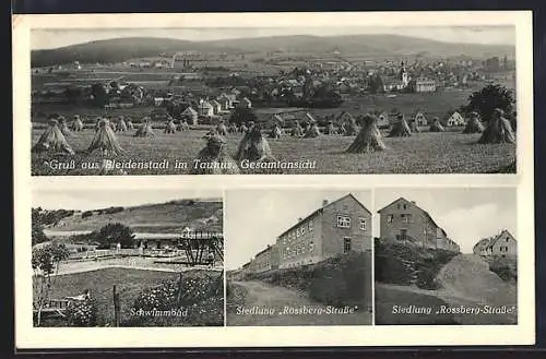 AK Bleidenstadt im Taunus, Siedlung Rossberg-Strasse, Schwimmbad, Teilansicht