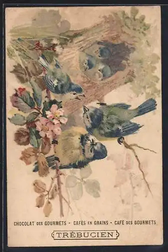 Künstler-AK Trébucien, Chocolat des Gorumets, Cafés en Grains