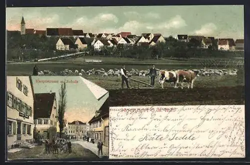 AK Hochdorf / Horb, Haupstrasse mit Schule und Feld mit Kühen und Schafen