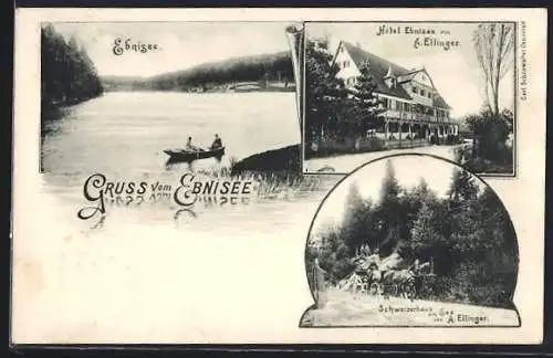 AK Ebnisee, Hotel Ebinsee und Schweizerhaus am See, Bes. A. Ellinger, Seepartie
