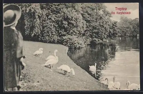 AK Treptow, Kind und Schwäne am Karpfenteich