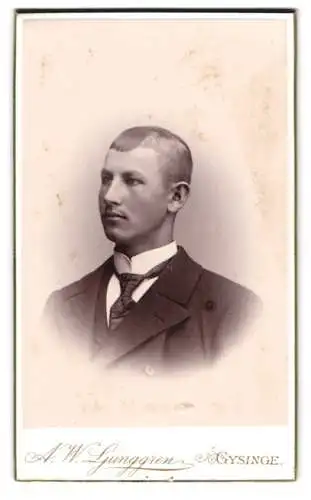 Fotografie A. W. Ljunggren, Gysinge, Porträt eines jungen Mannes