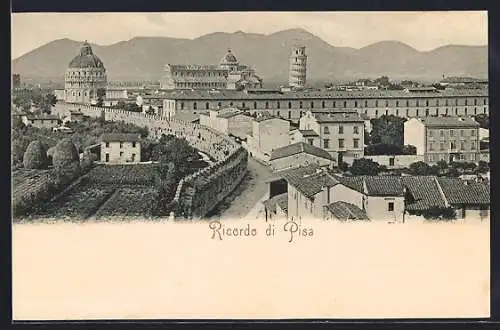 AK Pisa, Panorama