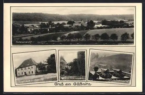 AK Gössnitz / Naumburg, Gasthaus zu Gössnitz, Partie im Schlosspark, Alte Kanonen im Schlosshof