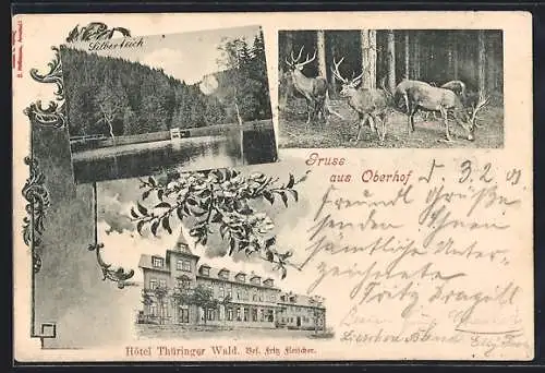 AK Oberhof / Thüringen, Hotel Thüringer Wald, Bes. F. Fleischer