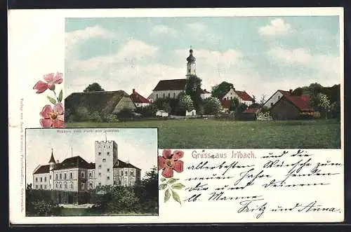 AK Irlbach / Strasskirchen, Ortsansicht, Schloss vom Park aus