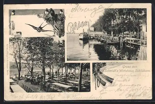 AK Berlin-Grunewald, Schildhorn, Gaststätte Schmidts Wirtshaus, Dampfer-Anleger, Gartenpartie, Schwalben im Nest