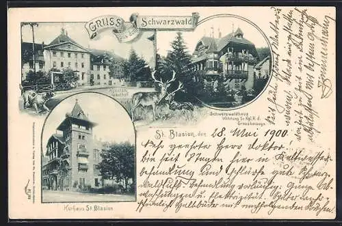 AK St. Blasien, Kurhaus St. Blasien, Kloster-Gasthof, Schwarzwaldhaus Wohnung Sr. Kgl. H. d. Grossherzogs