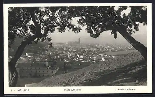 AK Malaga, Vista artistica