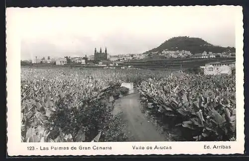 AK Las Palmas /Gran Canaria, Vaile de Arucas