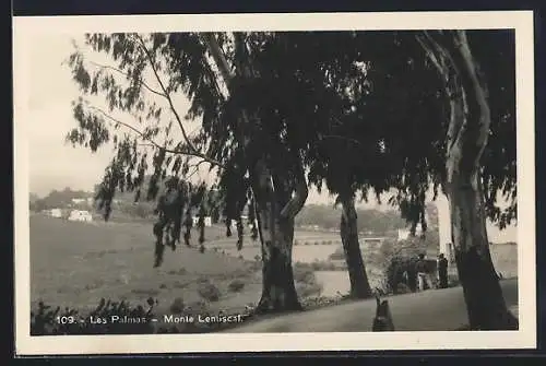 AK Las Palmas, Monte Lentiscal