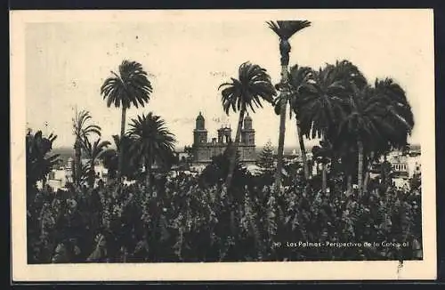 AK Las Palmas, Perspective de la Catedral