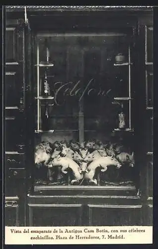 AK Madrid, Vista del escaparate dela Antigua Casa Botin, con sus célebres cochinillos, Plaza de Herradores, 7