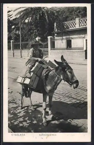AK Málaga, Burro de Caroa