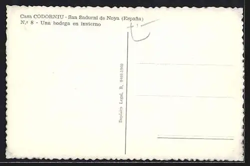 AK San Sadurní de Noya, Casa Codorniu, Una bodega en invierno