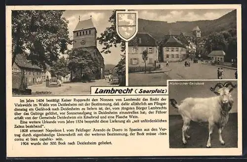 AK Lambrecht /Saarpfalz, Kirchplatz, Wappen und Historischer Geissbock