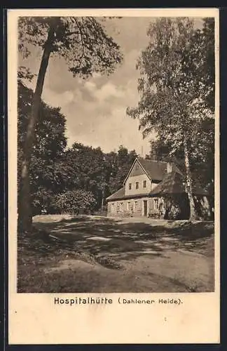 AK Dahlen /Sachsen, Hospital Hütte in der Dahlener Heide