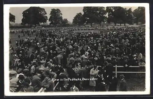 AK Doncaster, View in the Paddocks