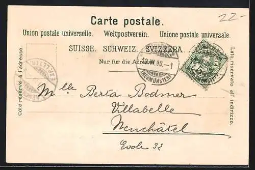 Lithographie Zürich, Schweiz. Landesmuseum mit Wappen