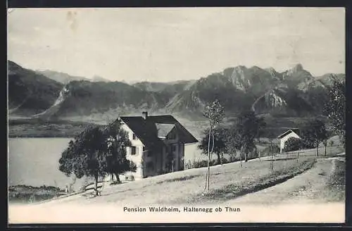 AK Haltenegg ob Thun, Pension Waldheim