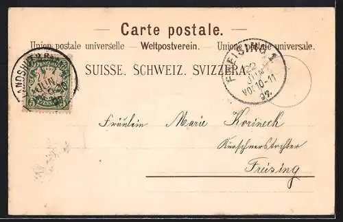 Lithographie Interlaken, Ortsansicht aus der Vogelschau