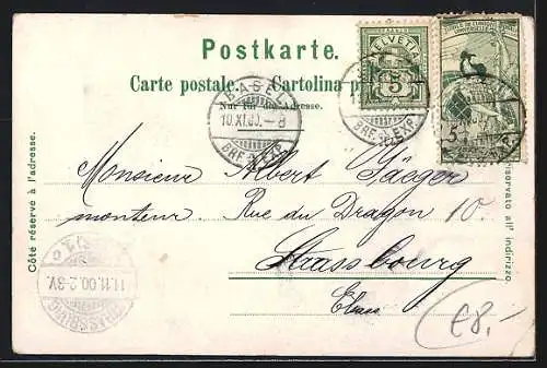 Lithographie Basel, Ortsansicht mit Rheinbrücke, Strassburger Denkmal und Rathaus