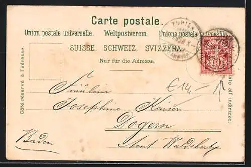 Lithographie Zürich, Ortsansicht mit Flussbrücke, Landesmuseum