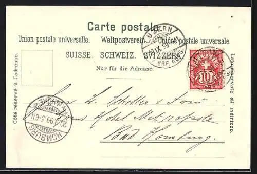 Lithographie Luzern, Panorama & Schweizerhofquai