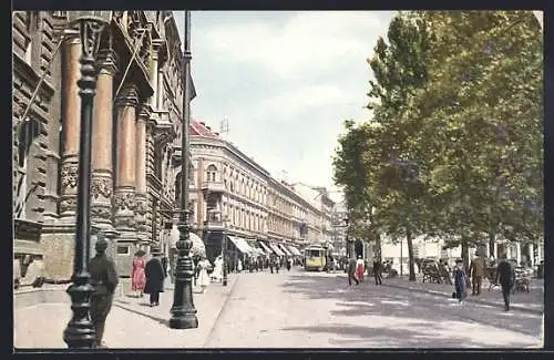 AK Zagreb, Strosmajerova ulica, Strassenbahn