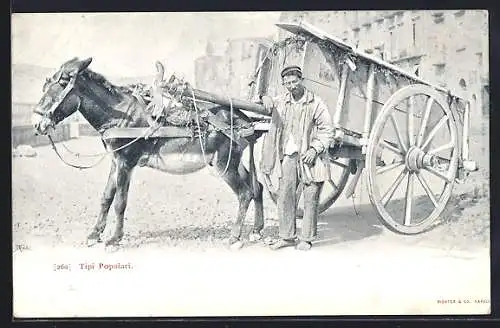 AK Tipi Popolari