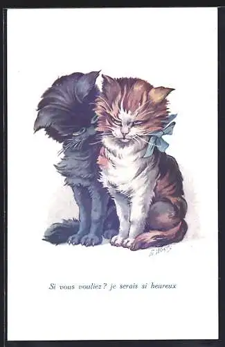 Künstler-AK A. Wuyts: Kater schaut zur Katze