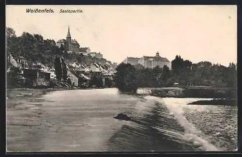 AK Weissenfels, Saalepartie mit Schloss