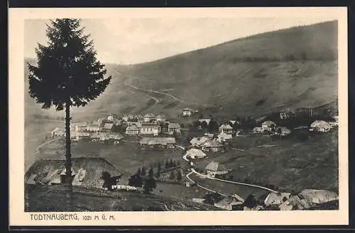 AK Todtnauberg, Blick aufs Dorf aus der Ferne