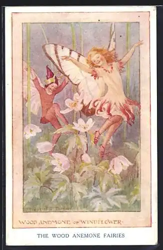 Künstler-AK Margaret W. Tarrant: The Wood Anemone Fairies