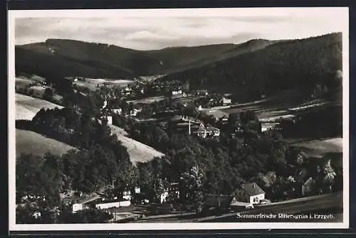 AK Rittersgrün i. Erzgeb., Panorama