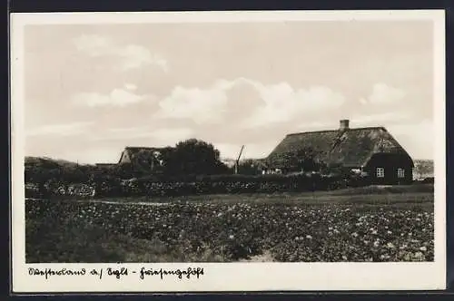 AK Westerland a. Sylt, Friesengehöft