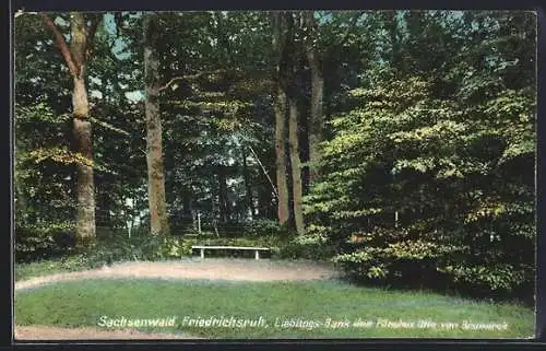 AK Friedrichsruh, Sachsenwald, Lieblings-Bank des Fürsten Otto von Bismarck