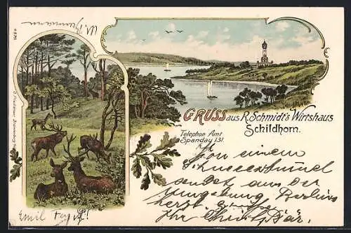Lithographie Berlin-Grunewald, Gasthaus Schildhorn R. Schmidt, Bismarckturm