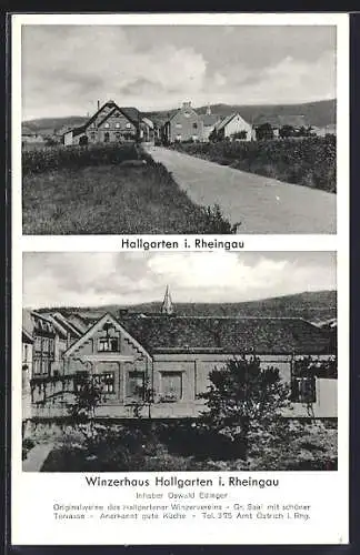 AK Hallgarten i. Rheingau, Gasthof Winzerhaus, Inh. Oswald Edinger