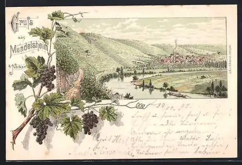 Lithographie Mundelsheim a. Neckar, Teilansicht, Weintrauben