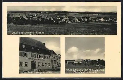 AK Ödenwaldstetten, Gasthaus-Brauerei z. Lamm W. Speidel, Fohlenaufzuchtsanstalt Masshalderbuch, Gesamtansicht
