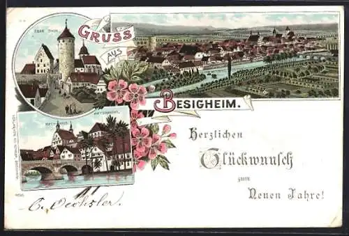 Lithographie Besigheim, Panorama mit Brücke, Rathaus u. Amtsgericht, Ober-Thor-Partie, Ortsansicht