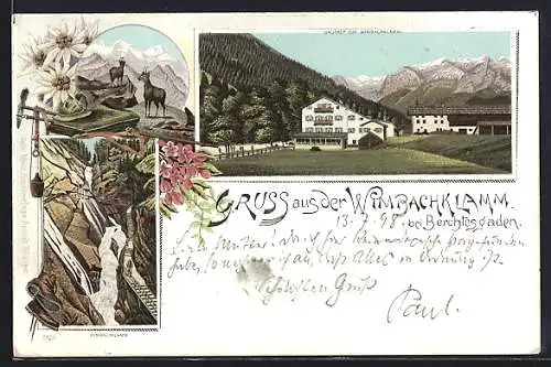 Lithographie Berchtesgaden, Gasthof zur Wimbachklamm, Gämse auf einem Berg