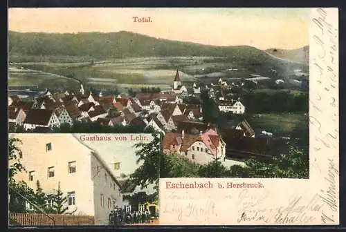 AK Eschenbach b. Hersbruck, Gasthaus von Lehr, Totalansicht aus der Vogelschau