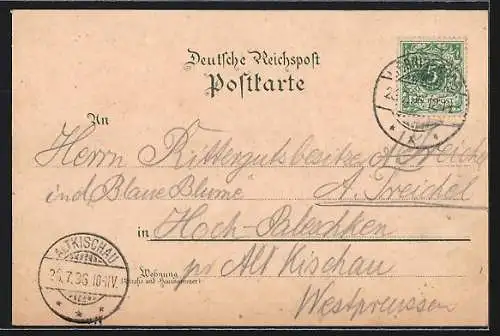 Lithographie Wernigerode, Ortspanorama mit Schloss und Kirche