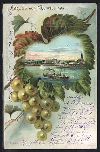 Passepartout-Lithographie Neuwied, Ortspanorama mit Dampfer im Weinblatt mit Trauben